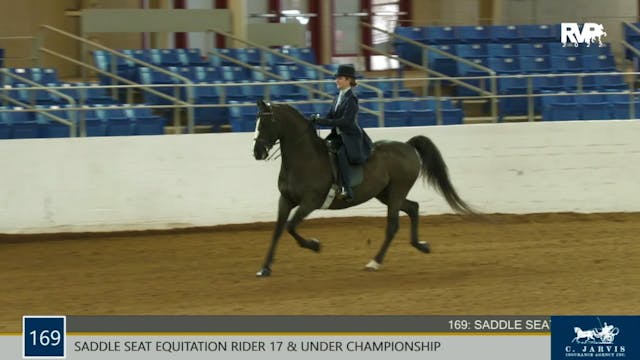 Saddleseat 2024 Show Whip