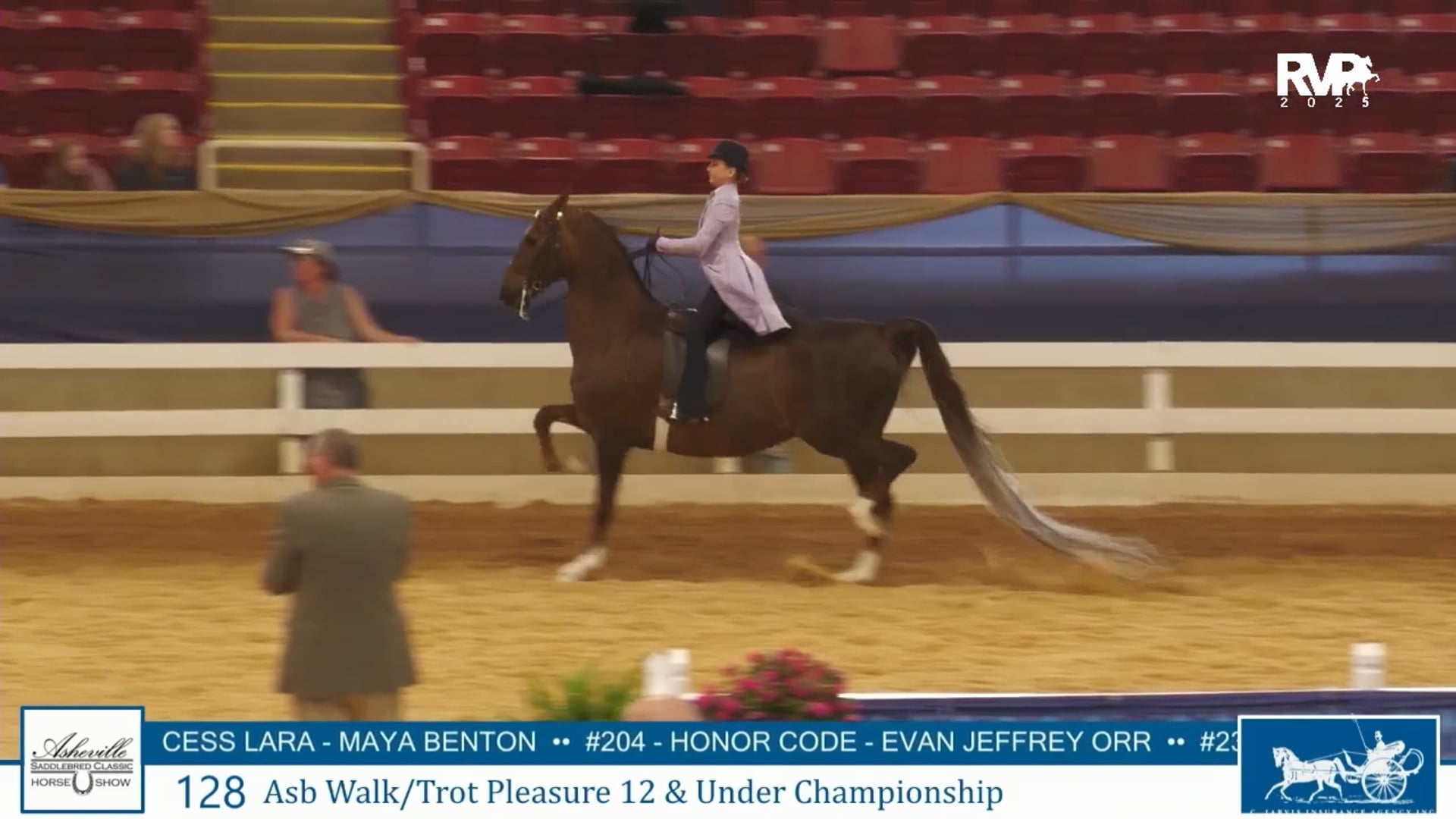 ASC25 - Class 128 - ASB Walk-Trot Pleasure 12 & Under Championship