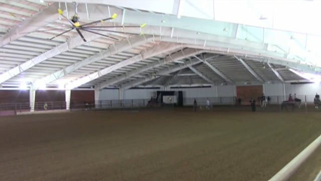 MGN16 - Sport Horse 2 - Thursday Evening