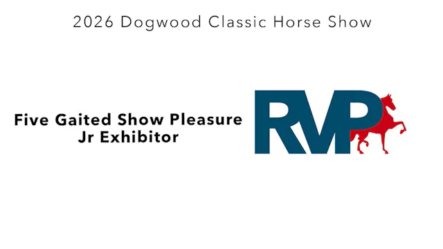 DC26 - Class 21 - Five Gaited Show Pl...