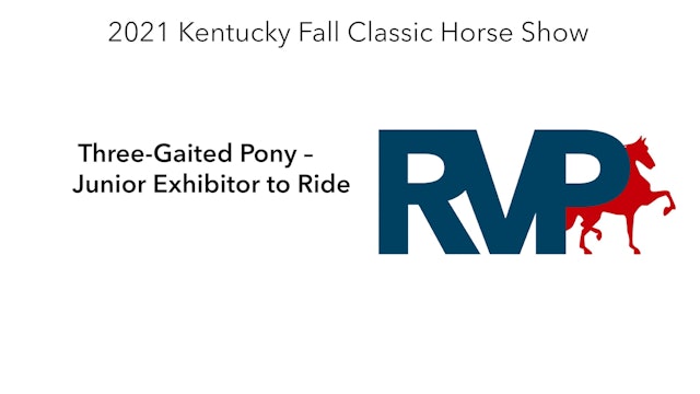 KYFC21 - Class 105 -  Three-Gaited Pony – Junior Exhibitor to Ride  