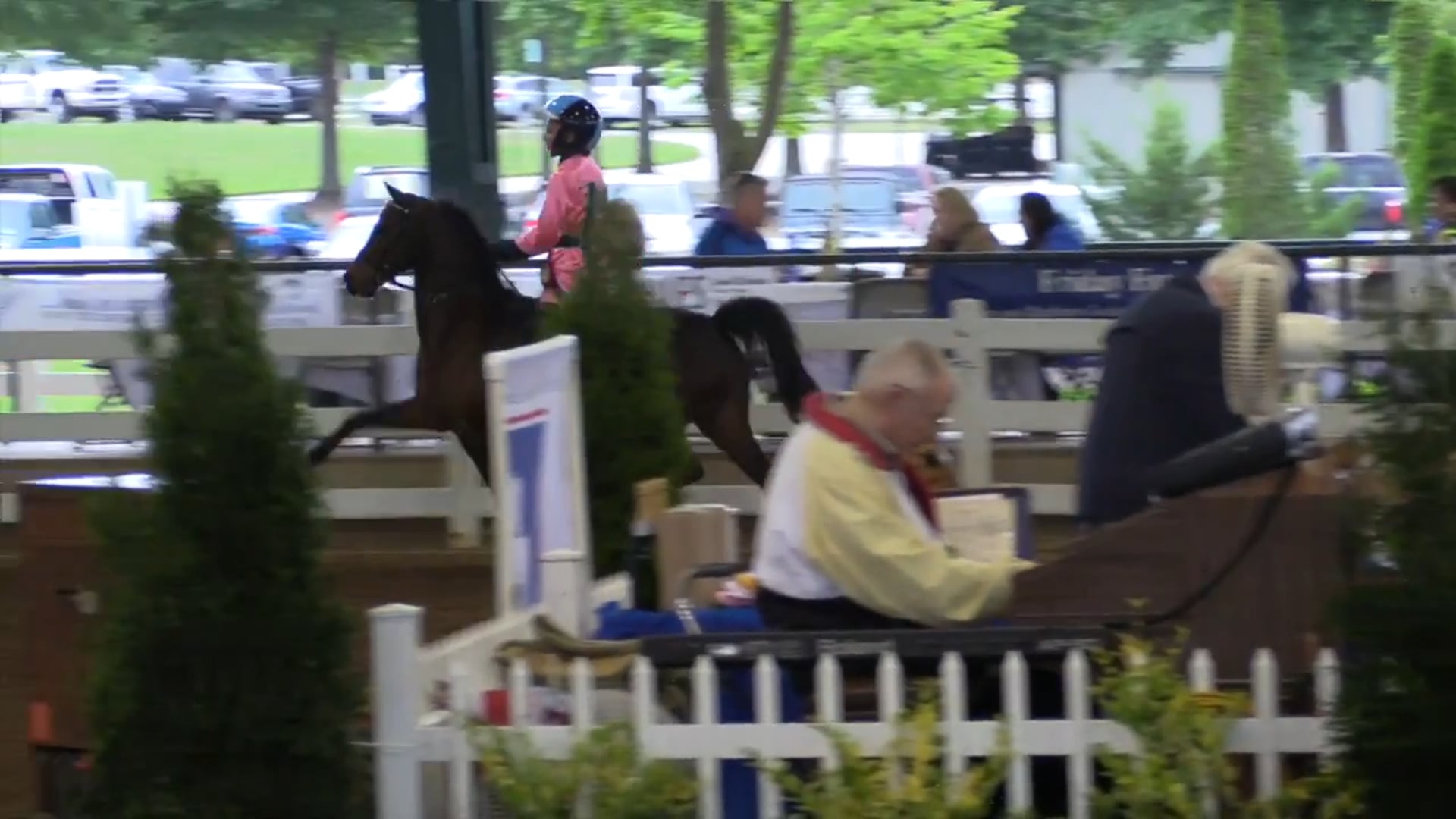 DC17 - Wait and See's Postmaster Reserve - Championship