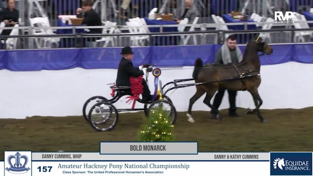 KC25 - Class 157 - Bold Monarck and D...