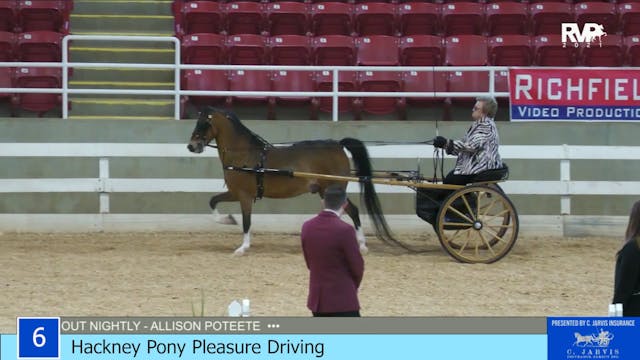 ASW21 - Class 6 - Hackney Pony Pleasu...