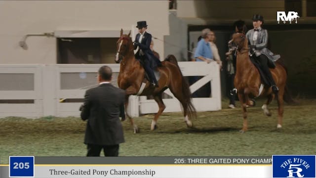 WCHS24 - Class 205 - Three Gaited Pon...