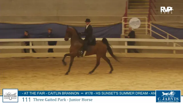 ASC26 - Class 111 - Three Gaited Park...