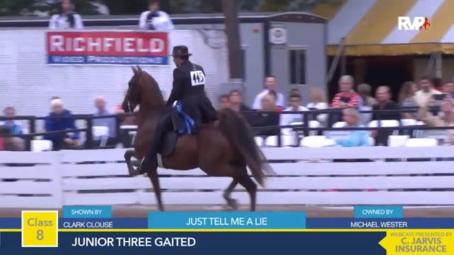 2015 RC - Class 8 Junior Three Gaited 