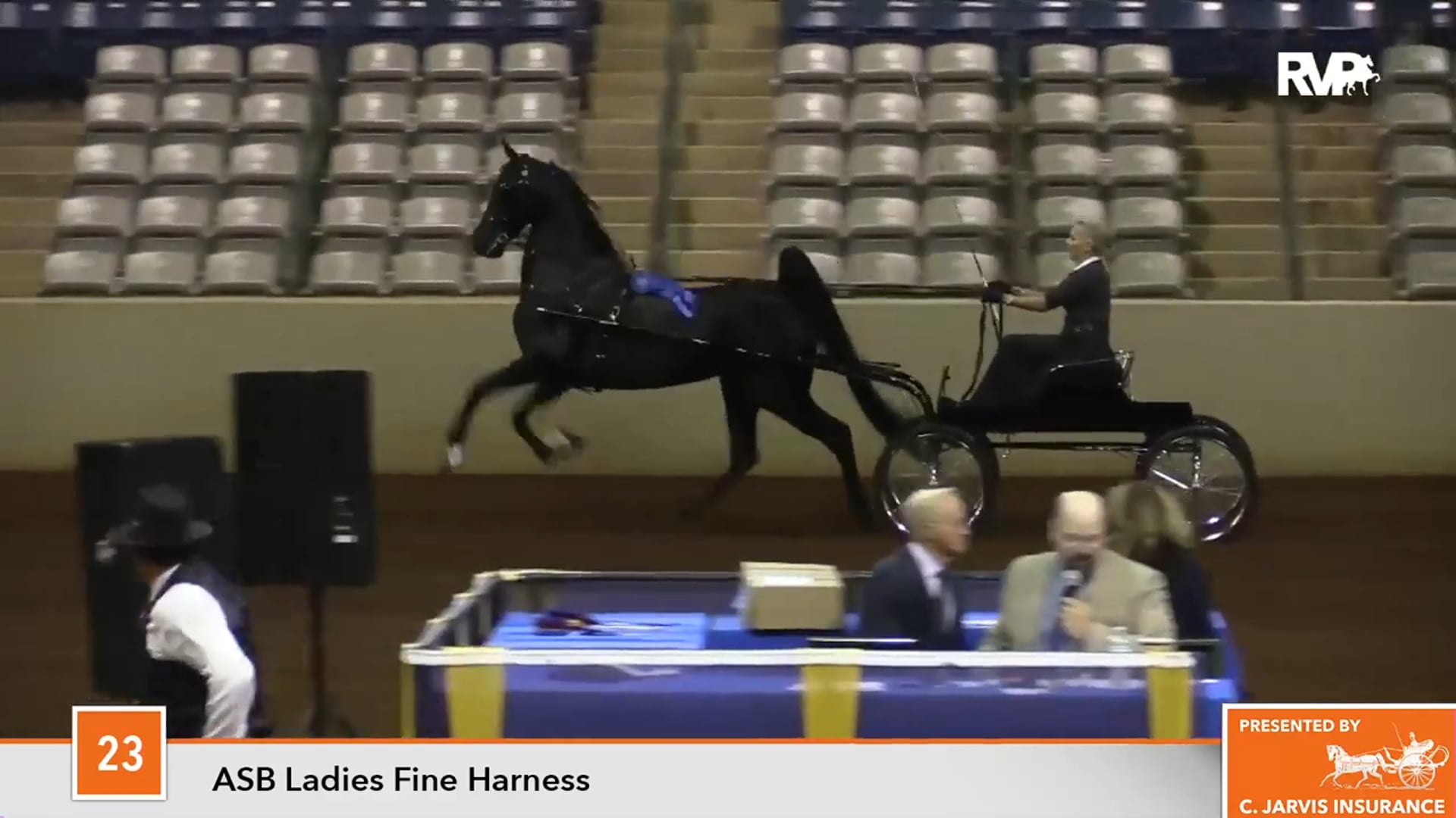 MUR17 - Class 23 - Kalarama's New York Lady