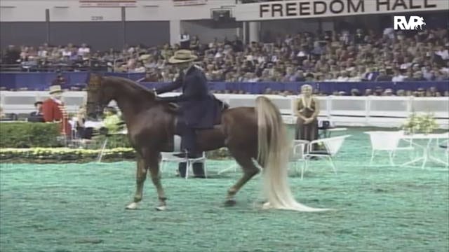 2006 WCHS Class 240 Five Gaited World...