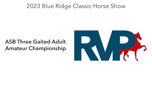 BR23 - Class 156 - ASB Three Gaited A...