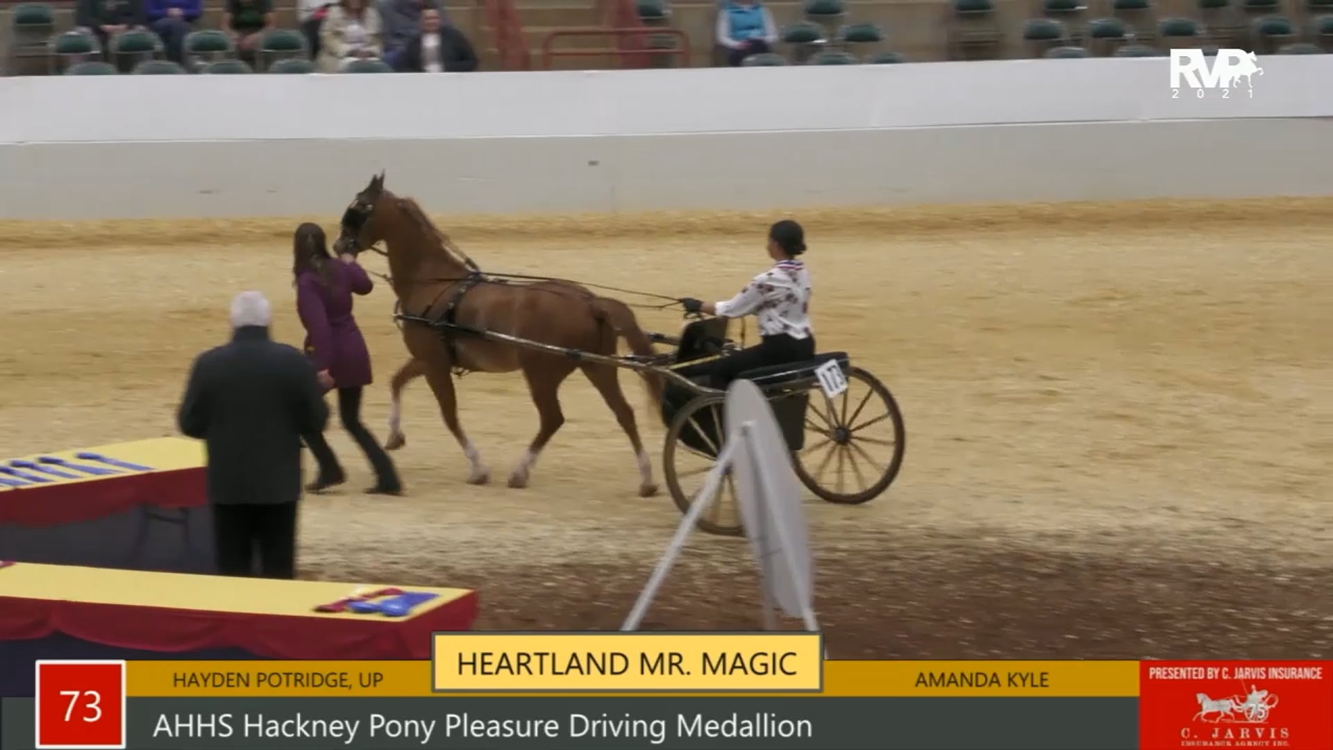 PA21 - Class 73 AHHS Hackney Pony Pleasure Driving Medallion