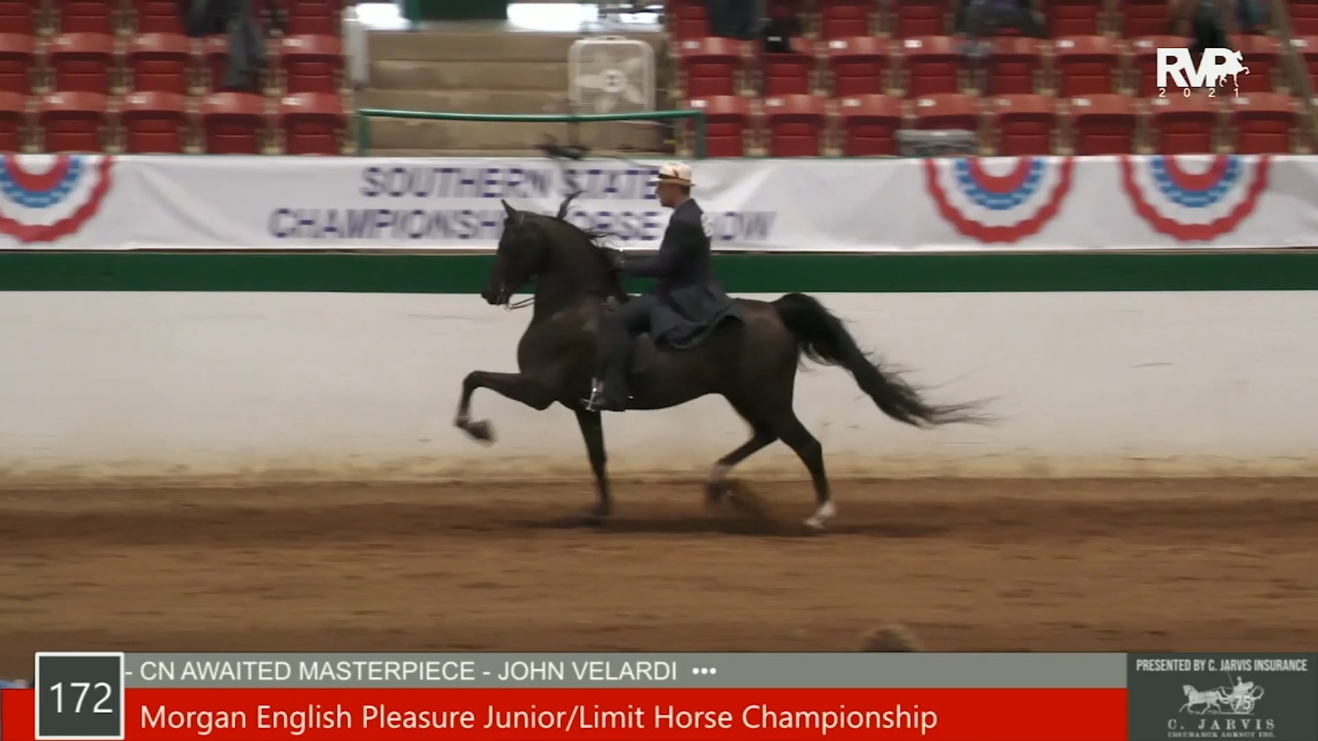 SS21 - Class 172 - Morgan English Pleasure Junior-Limit Horse Championship