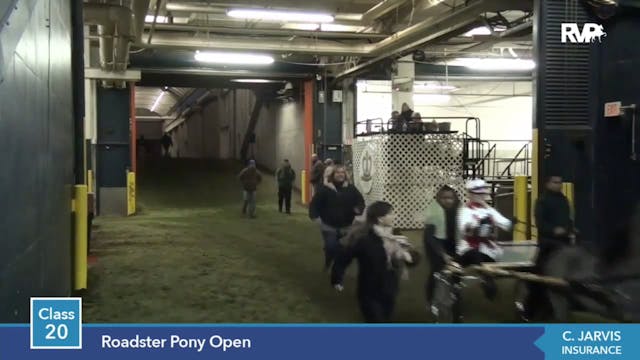 2014 KC - Class 20 Roadster Pony Open 