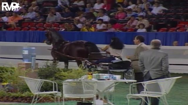 2004 World's Championship Horse Show ...