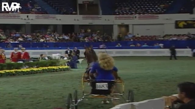 2004 World's Championship Horse Show ...