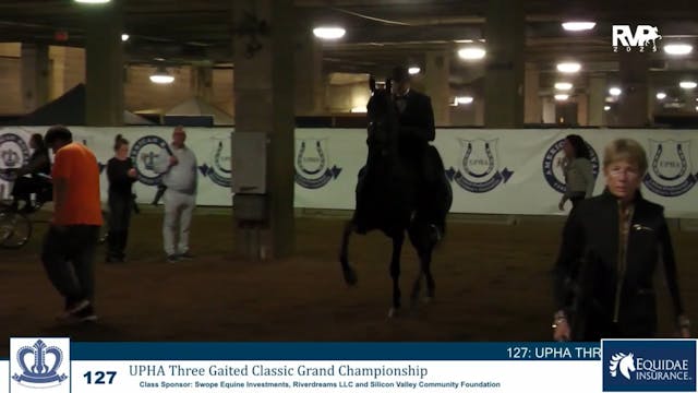 KC25 - Class 127 - UPHA Three Gaited ...