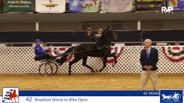 AAC25 - Class 42 - Roadster Horse to ...