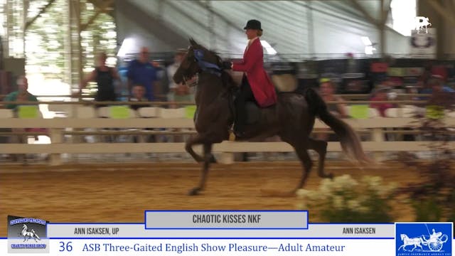 CTS25 - Class 36 - Chaotic Kisses NKF...