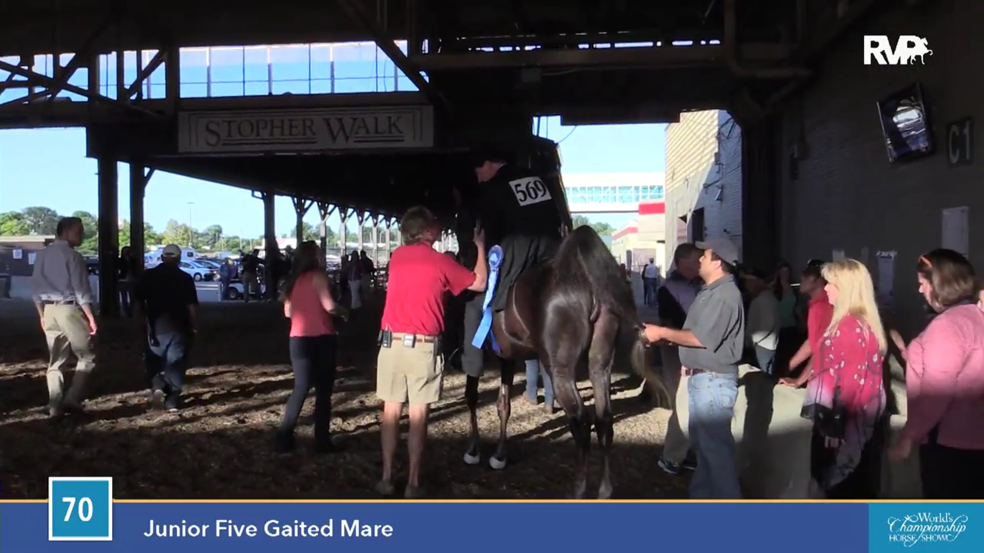 WCHS15 - There's Something About Mary