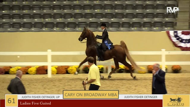 KYFC21 - Class 61 - Ladies Five Gaited