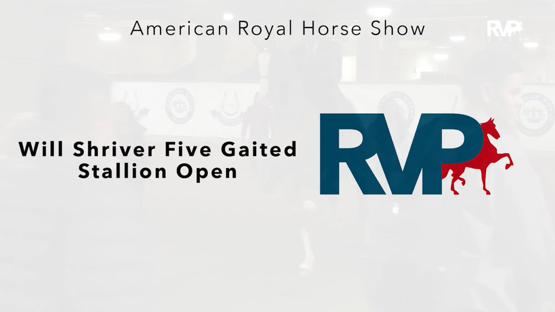 AR24 - Class 37 - Will Shriver Five Gaited Stallion Open