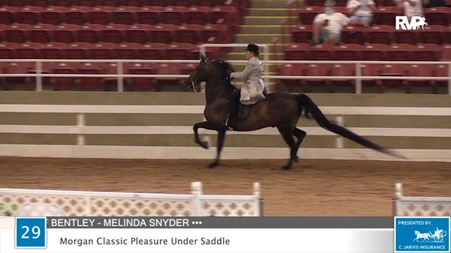 2020 ASF - Class 29 Morgan Classic Pl...
