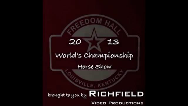 WCHS13 - Class 245 - Honey Badger and...
