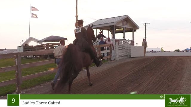 MCF23 - Class 9 - Ladies Three Gaited