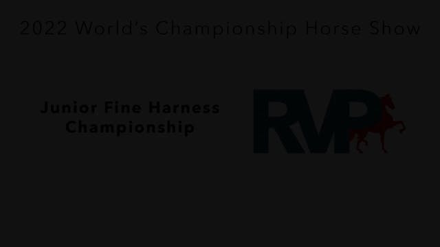 WCHS22 - Class 162 - Junior Fine Harn...
