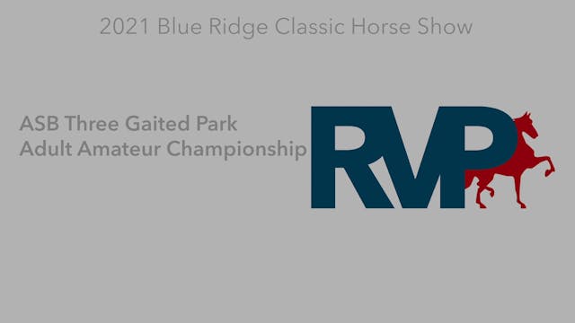 BR21 - Class 163 - ASB Three Gaited P...