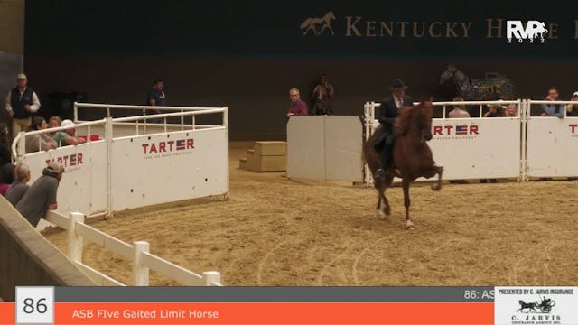 KYFC22 - Class 86 - ASB Five Gaited L...
