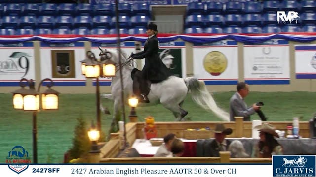 AN25 - Class 2427 - Arabian English P...