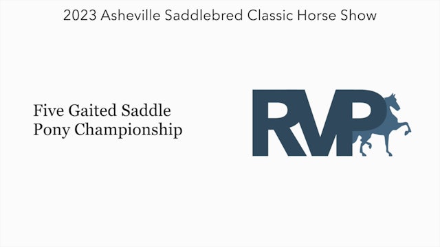 ASC23 - Class 123 - Five Gaited Saddle Pony Championship