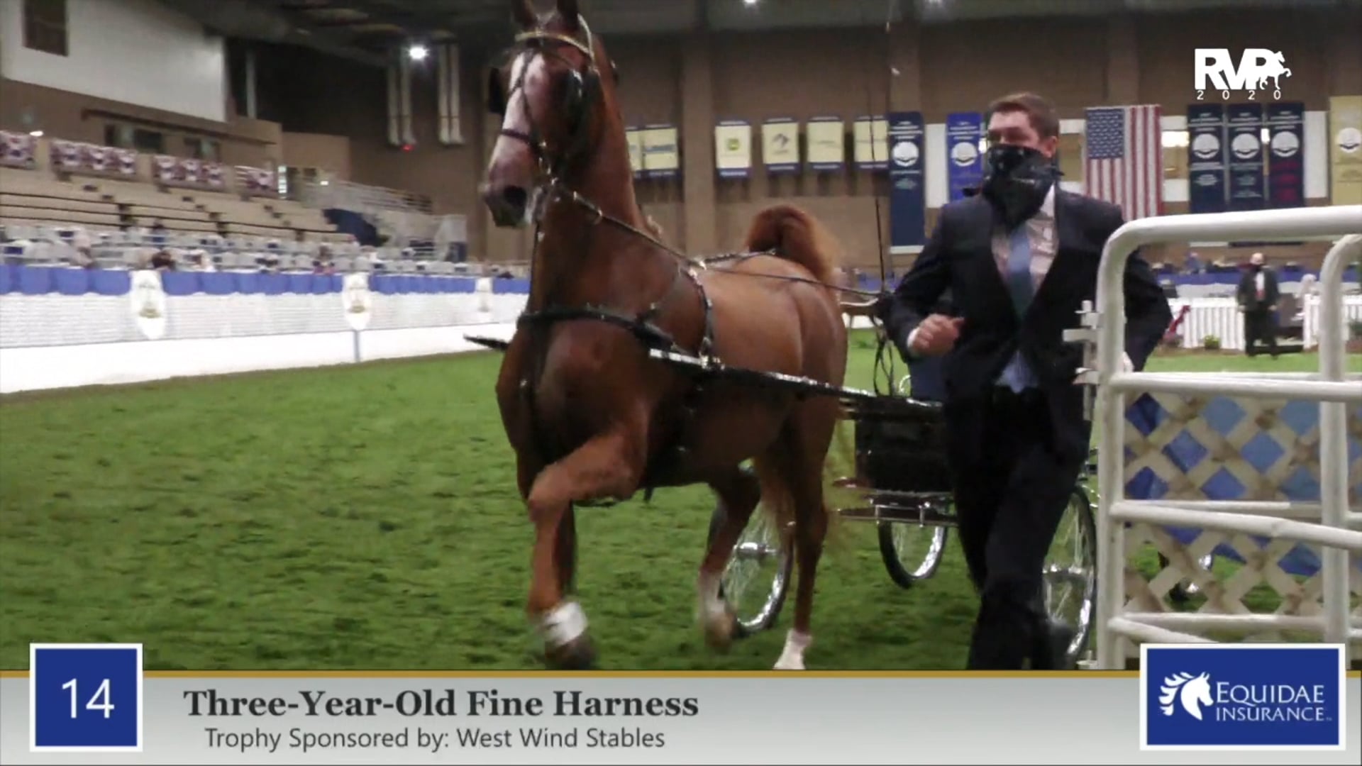 2020 AR - Class 14 Three Year Old Fine Harness