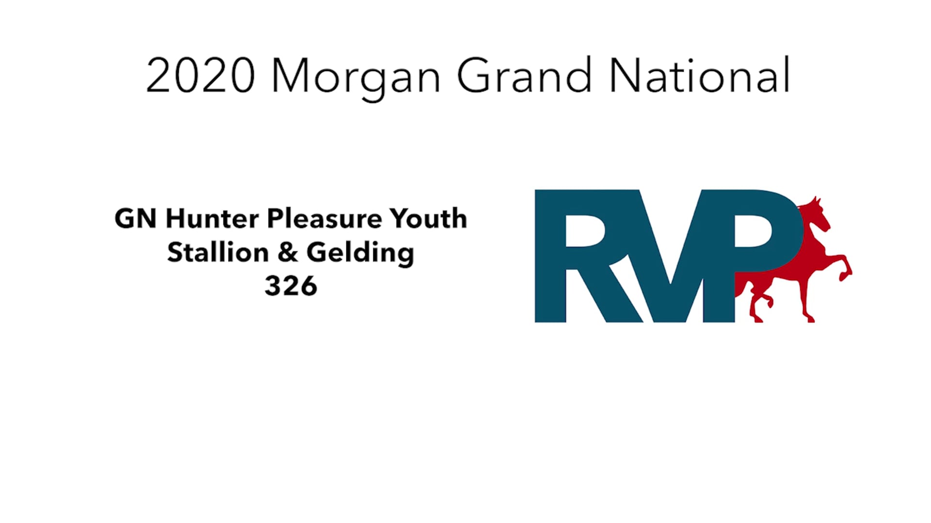 2020 MGN - 326 GN Hunter Pleasure Youth Stallion & Gelding