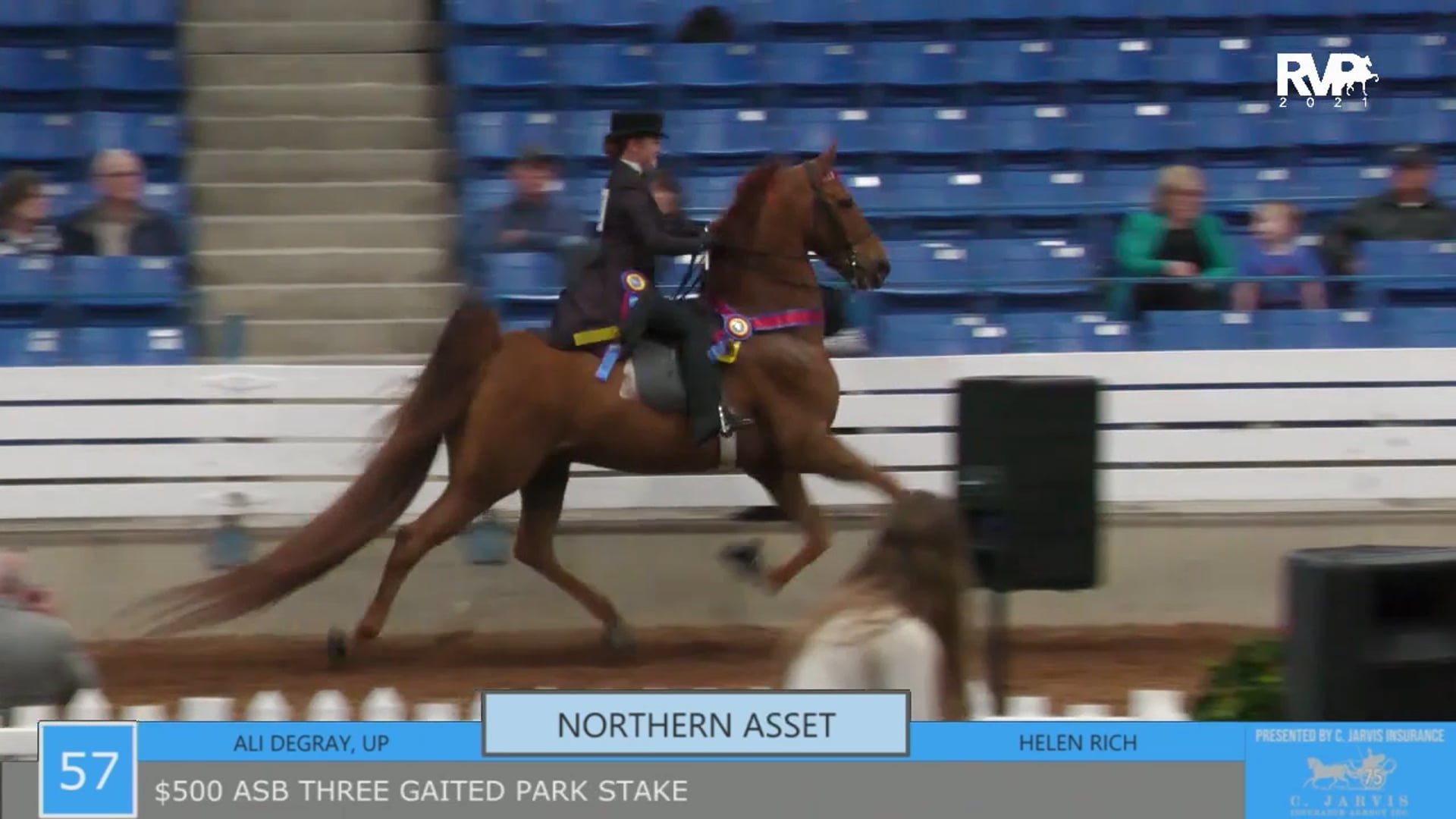 SSSF21 - Class 57 - ASB Three Gaited Park Stake