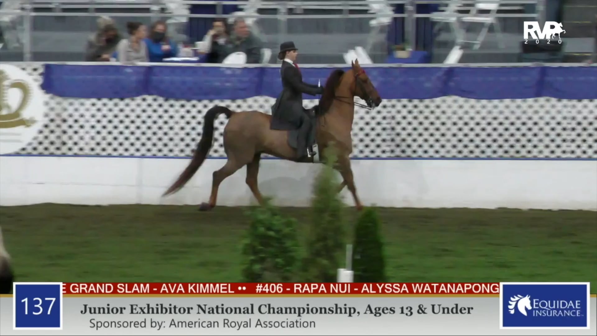 2020 AR - Class 137 Junior Exhibitor 13 & Under
National Championship