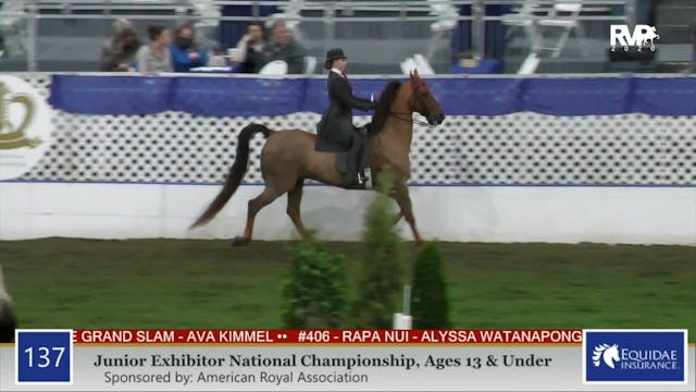 2020 AR - Class 137 Junior Exhibitor ...