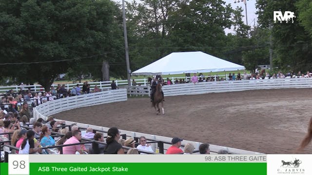 RC22 - Class 98 -  ASB Three Gaited J...