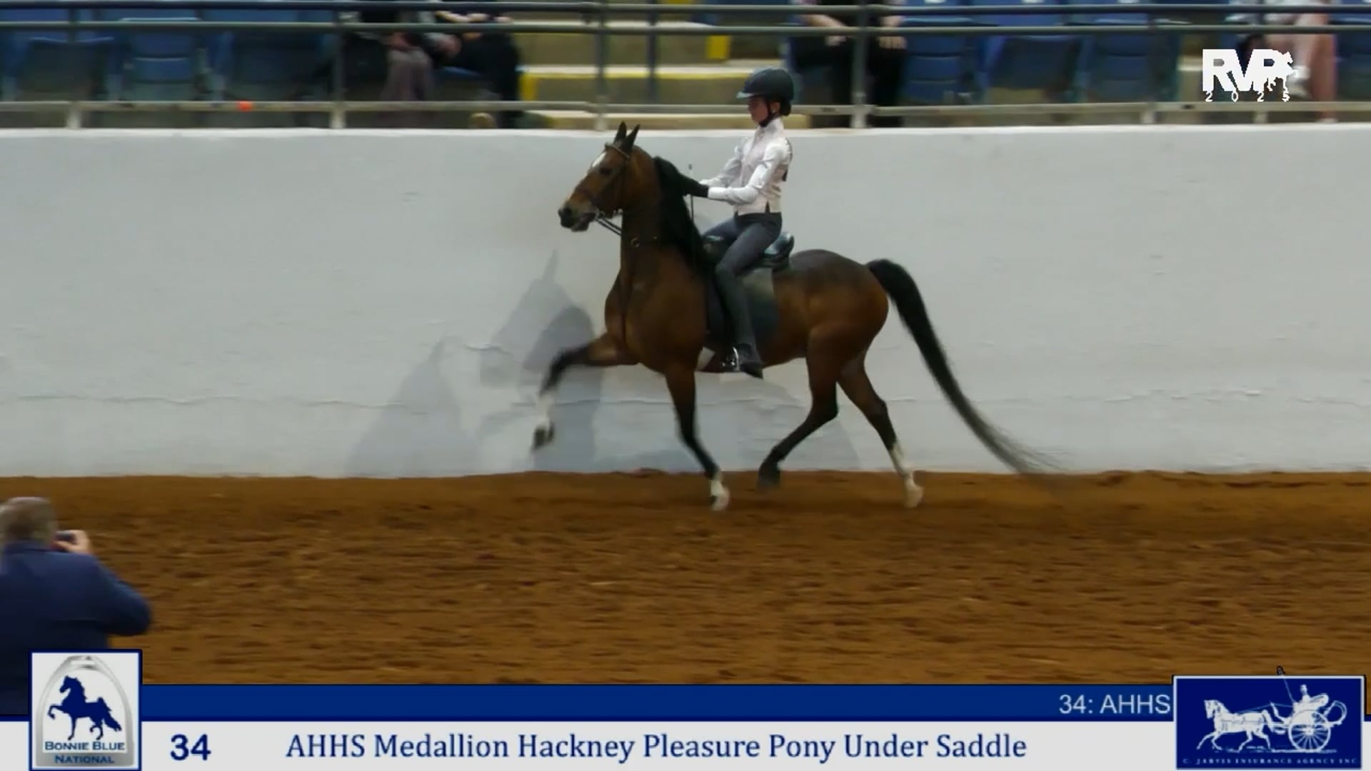 BB25 - Class 34 - AHHS Medallion Hackney Pleasure Pony Under Saddle