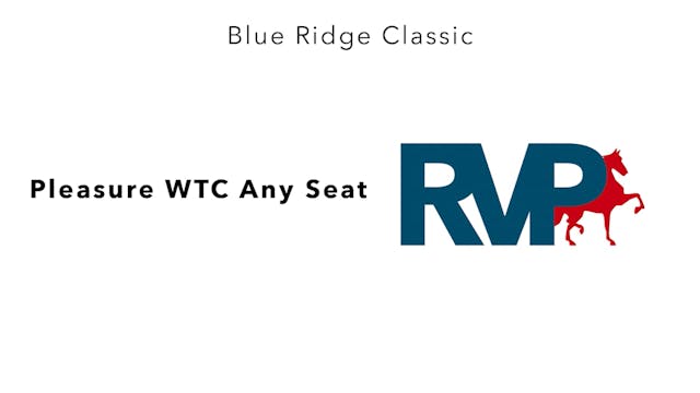 BR24 - Class 48 - Pleasure WTC Any Seat