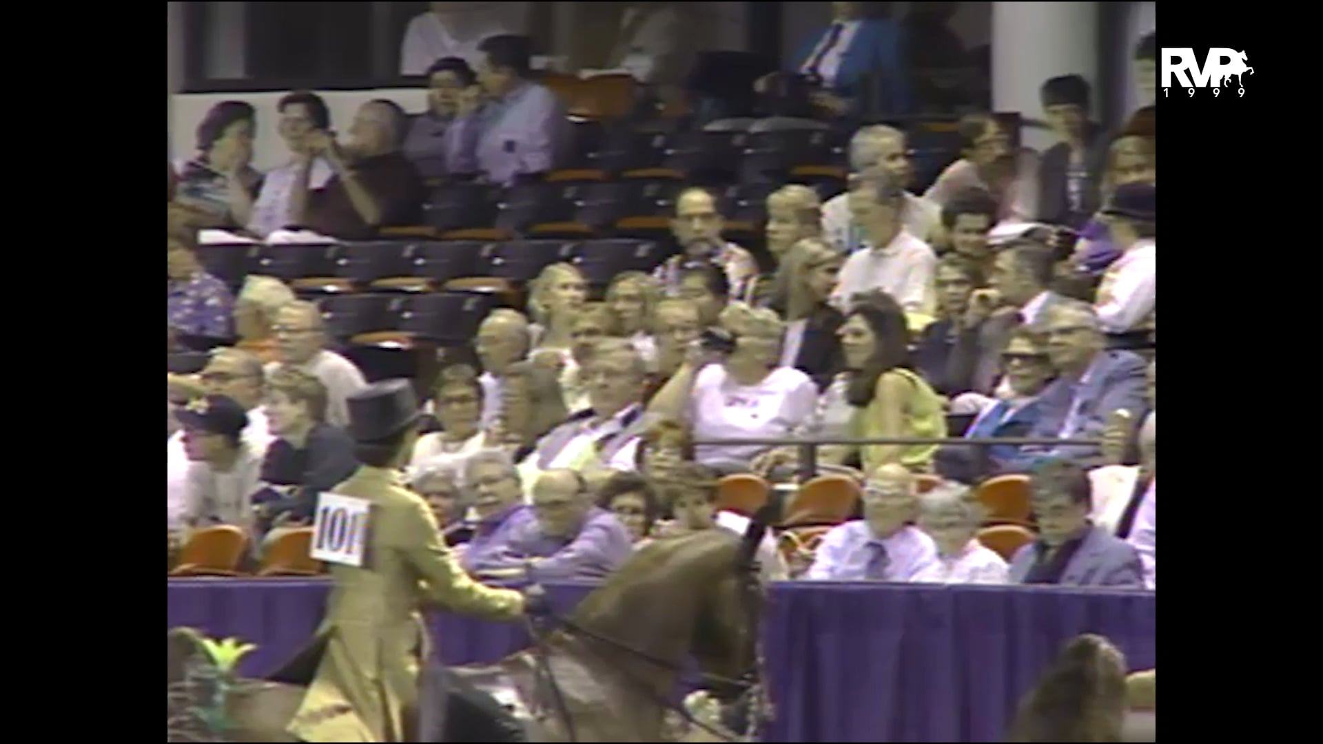 1999 WCHS -Class 100 Amateur Three Gaited 15.2 & Under Stake