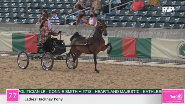 2020 LJL - Class 77 Ladies Hackney Pony