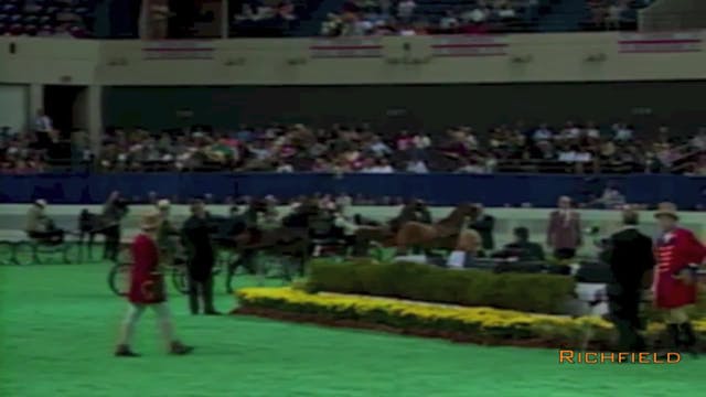 2001 WCHS - Class 7 - Kentucky County...