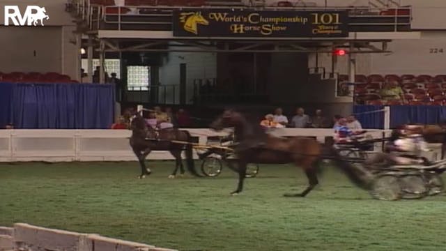 2004 World's Championship Horse Show ...