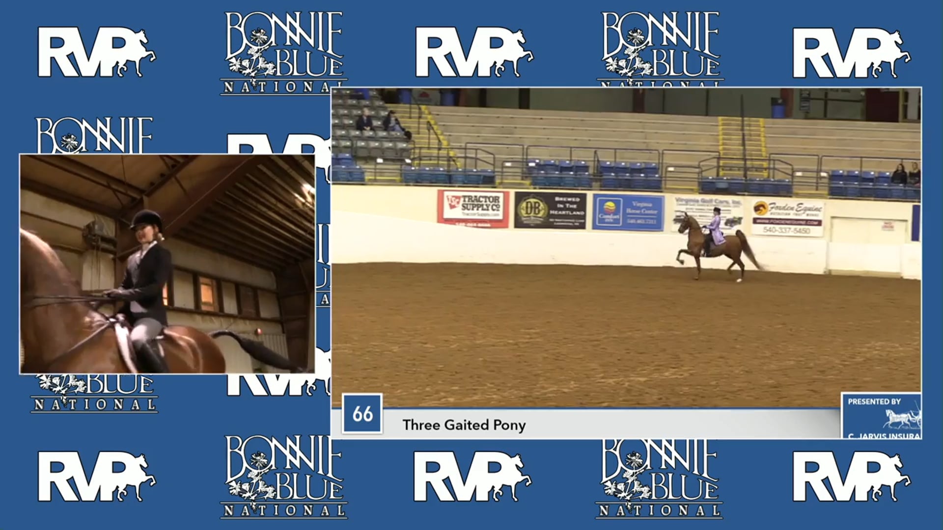 BB17 - CH Harlem's Sweet Success - Class 65