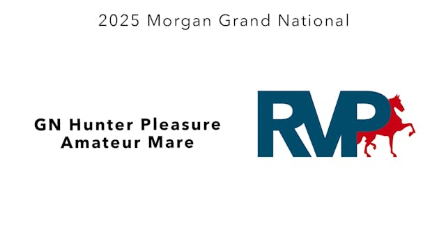 MGN25 - Class 311 - GN Hunter Pleasur...