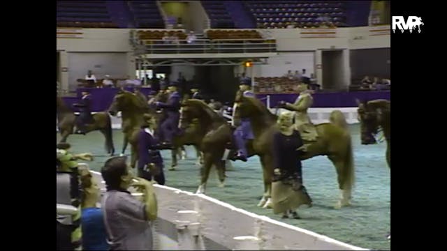 1999 WCHS - Class 64 Equitation Open ...