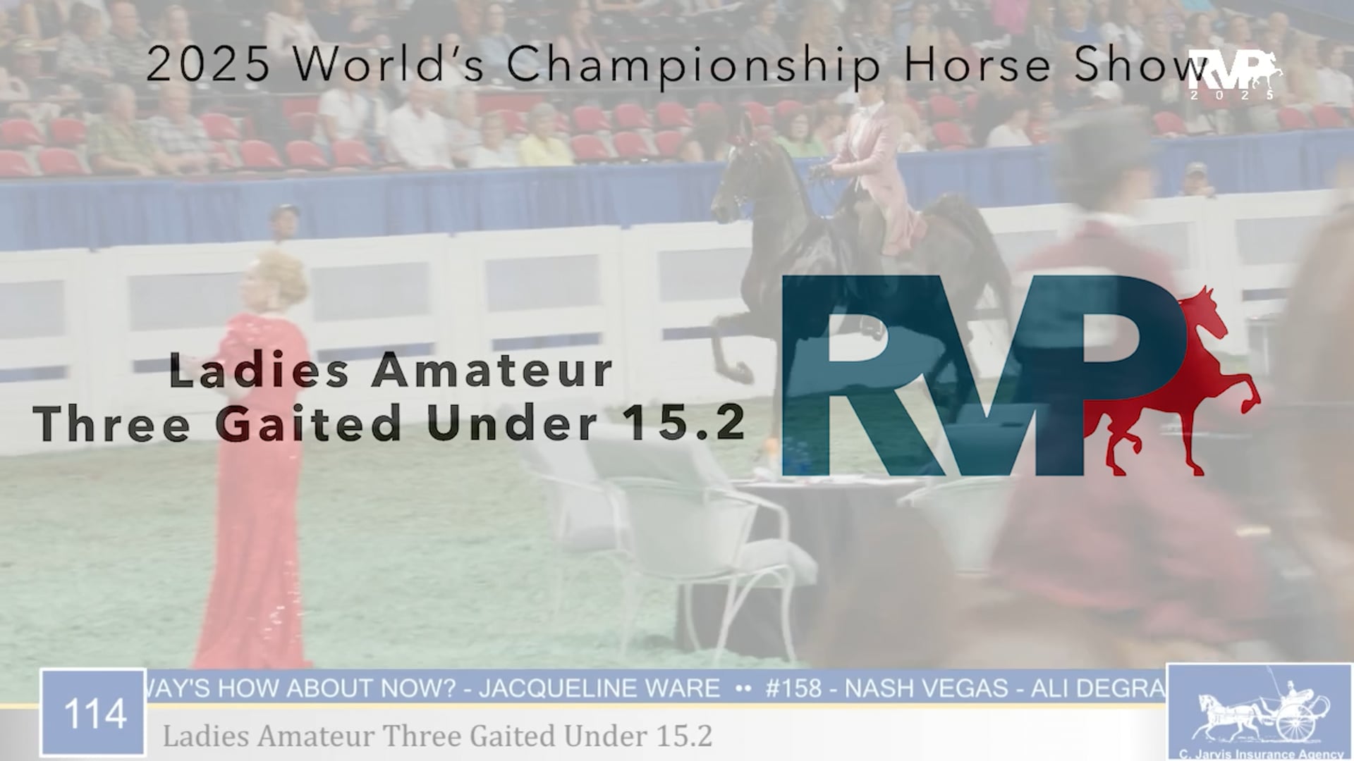 WCHS25 - Class 114 - Ladies Amateur Three Gaited Under 15.2