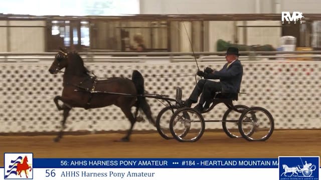 AAC25 - Class 56 - AHHS Harness Pony ...